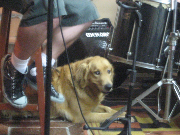 Bionda backing vocal