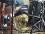 Bionda backing vocal