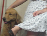mas a bionda gosta