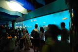 aquario1