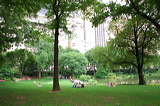 central_park_2