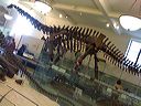 img_0338