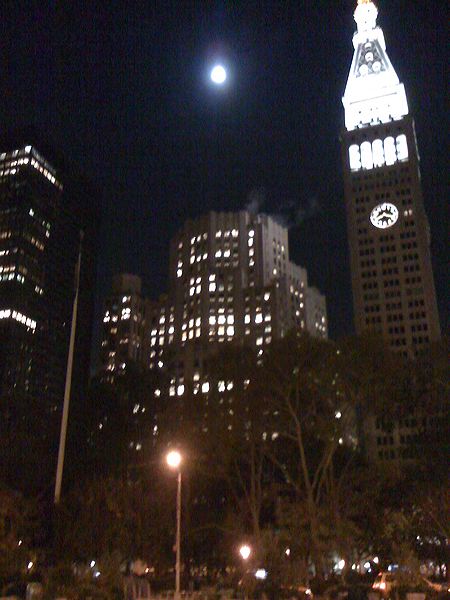 img_0377.jpg