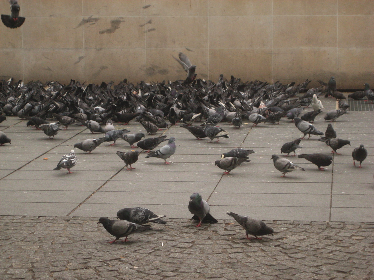c_paris_090.jpg