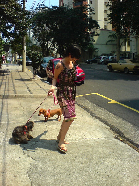 dogtrouble.jpg