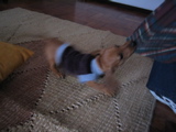 ah! sweater!