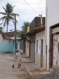 tirar a sujeira de casa