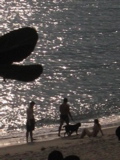 o monstro do lago ness