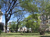 plaza y más plaza