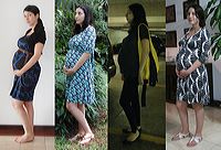 evolution