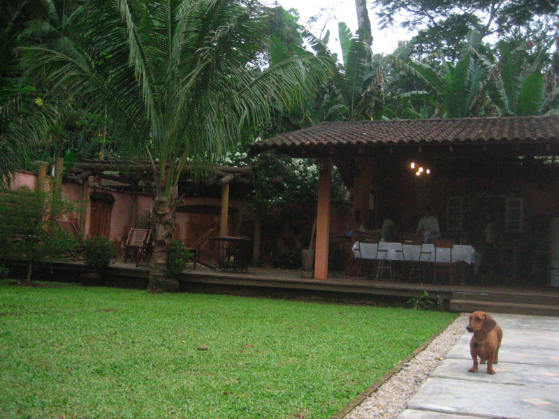 camburi07_003.jpg