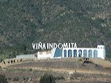 img_0011