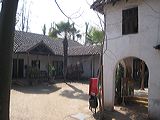 img_1461