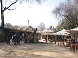 img_1462