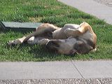img_1469