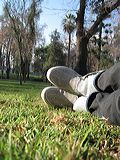 img_1496