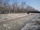 img_1509