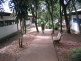 salas 50's