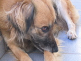 Lola