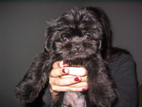 Jorge