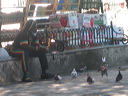 lahabana_071