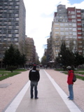perspectiva