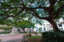 panama_025