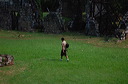 panama_102