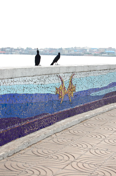 panama_065.jpg