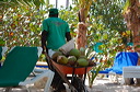 puntacana_019