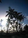 puntacana_062