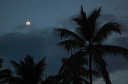 puntacana_063