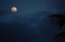 puntacana_064