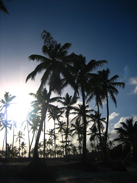 puntacana_062.jpg