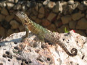 varadero_055