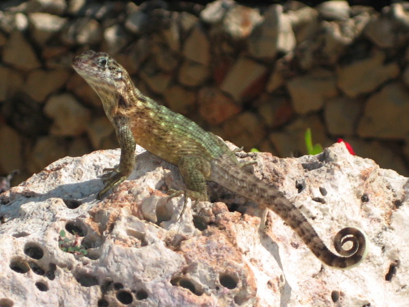 varadero_055.jpg
